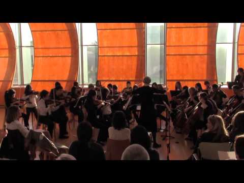 Dragonfly by Doug Spata