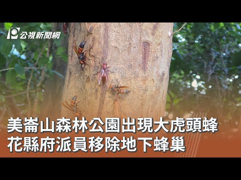 youtube影片
