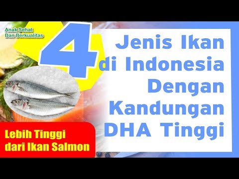 , title : '4 Jenis Ikan di Indonesia Dengan Kandungan DHA LEbih Tinggi Dari IKan Salmon'