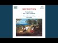 Symphony No. 1 in C Major, Op. 21: III. Menuetto: Allegro molto e vivace