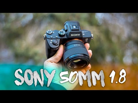 Sony 50mm f/1.8: Perfect lens for starters