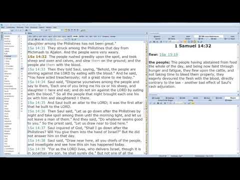 1Sam 14:31-15:15 Video