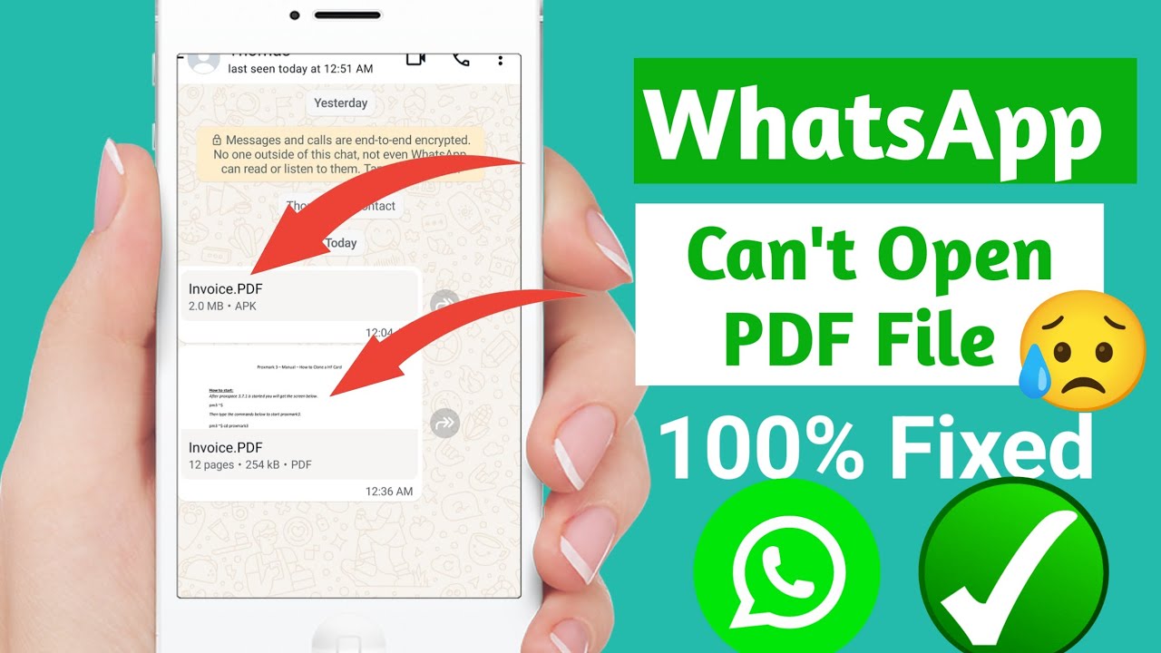 How to Fix WhatsApp Can't Open PDF Files | Solution Setting 24