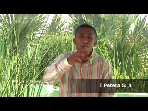 Miomana 48   Mitandrema, miambena ka mivavaha