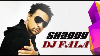 DJ FALA -  SHAGGY LEAVE IT TO ME (REMIX)