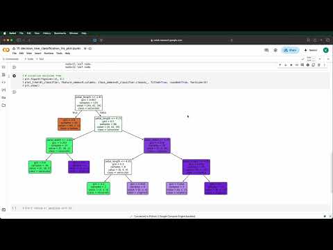 19 Decision Tree Classification Plot Iris Notebook Python