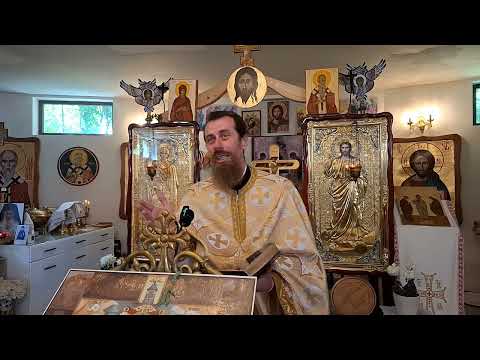 De câte ori te-ai născut ? Pr. Claudiu Melean 15.06.2025