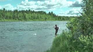 preview picture of video 'Lappland -- Fliegenfischen am Muonio'