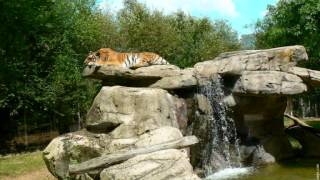 DAVID RUFFIN  LOVE SUPPLY....wmv