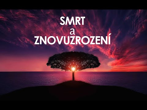 Smrt a znovuzrození (audio kniha) - putování po cestě věčnosti, kniha Sri Chinmoye