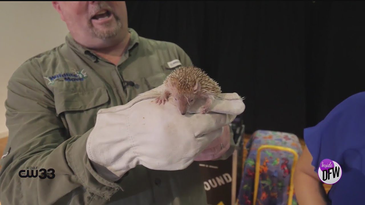 Promotional video thumbnail 2 for Wildlife On The Move