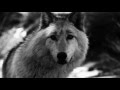 Backing Video - "The Velvet Cloak of Darkness" by The Blood of Others