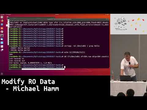 Hack.lu 2018 LT: Modify RO Data - Michael Hamm