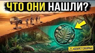 В Сахаре нашли следы исчезнувшего зелёного мира