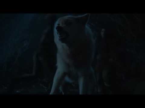 Game of Thrones S06E05 -  Bran's direwolf Summer dies