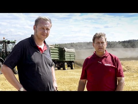 Wintergerste ANJA in der Praxis Teil 3) zur Ernte : LG Seeds Deutschland