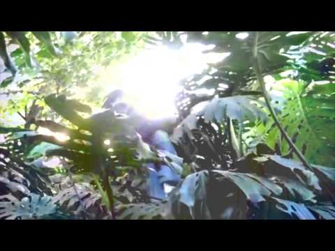 Geometria Sagrada - Mighty Kalipssus, Dash Shamash, York Siddartha