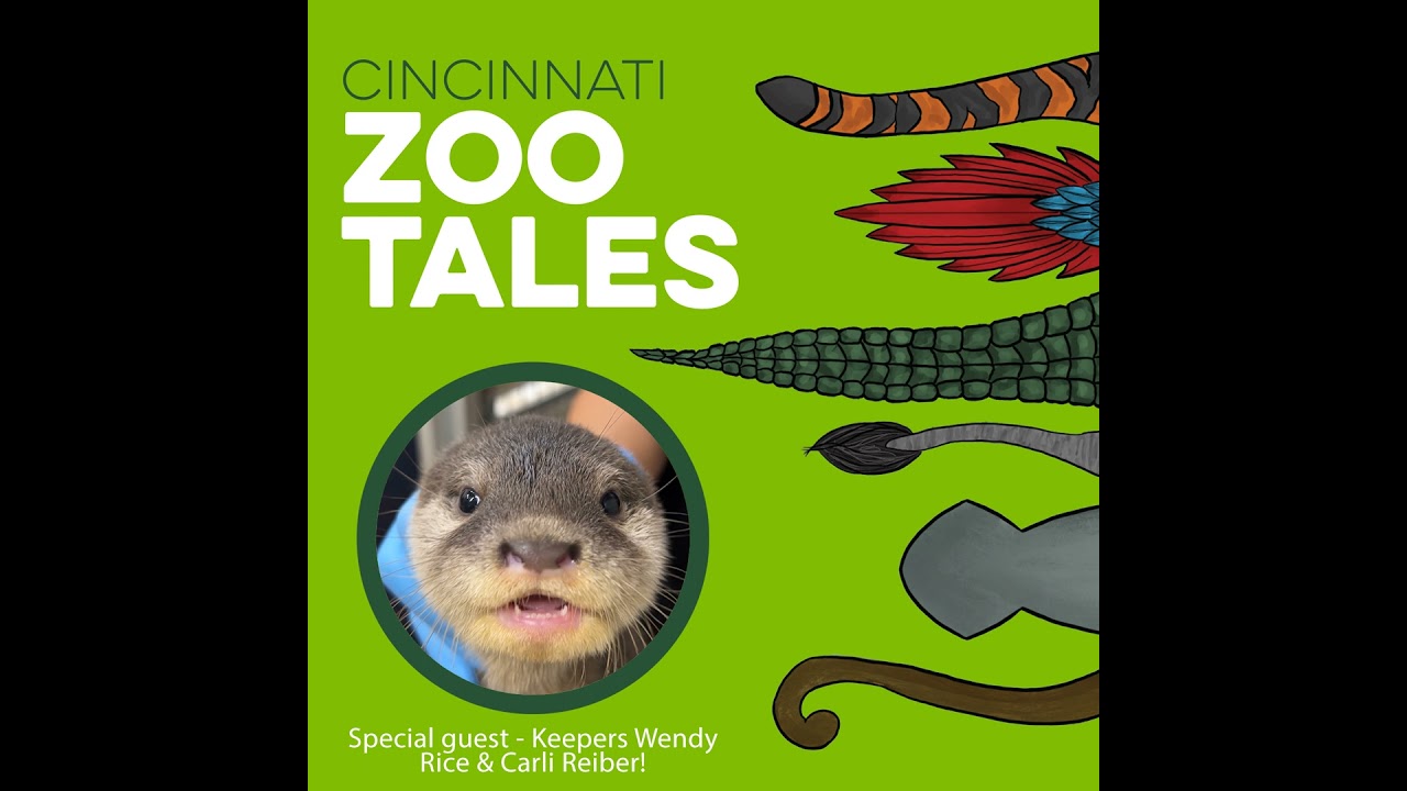 Video thumbnail for Otterly Adorable Pup Update!