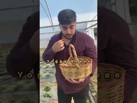 Çilek Canavarı 😂😂
