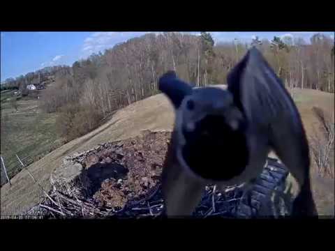 Борьба с врагами