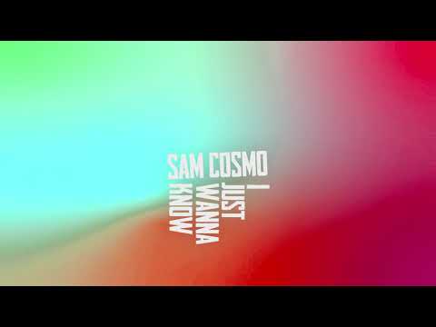 Sam Cosmo - I JUST WANNA KNOW (Lyrics video)