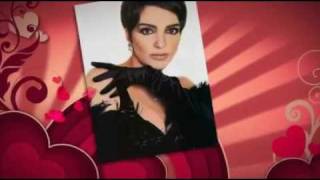 LIZA MINNELLI  the look of love