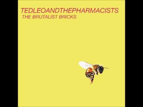 08 One Polaroid A Day - Ted Leo and The Pharmacists