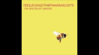 08 One Polaroid A Day - Ted Leo and The Pharmacists