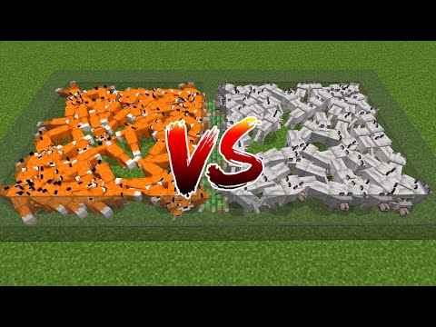 100 wolf vs 100 fox battle