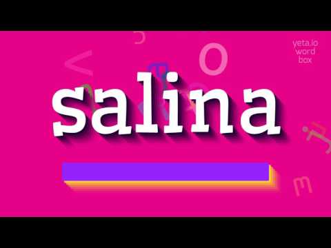 How to say "salina"! (High Quality Voices)