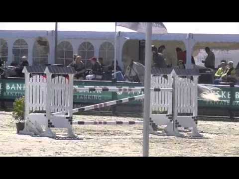 7y Holsteiner mare by Cayado