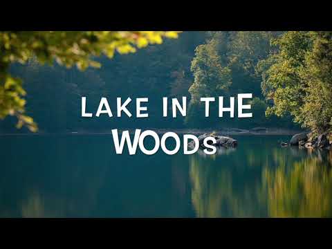 8 Hours of Birds Singing on the Lakeshore and Water Sounds - Relaxing Nature Sounds | White noise