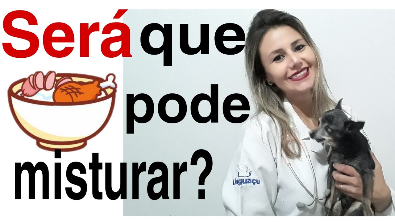 Pode misturar outros alimentos com a ração? Misturar ração com comida é bom?