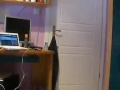 Nya Lynn PJ Twerk 2016