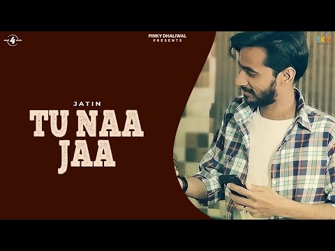 Tu Naa Jaa