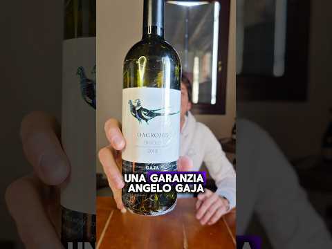 Barolo di Angelo Gaja 🍷⚠️