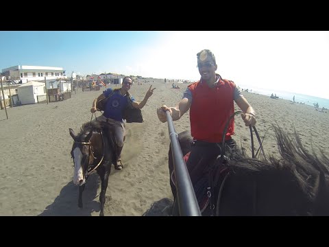 Al galoppo sulla spiaggia di Montalto di Castro!