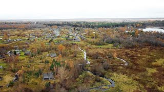 Ссылка