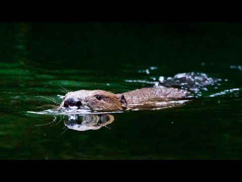 VidÃ©o du sÃ©jour