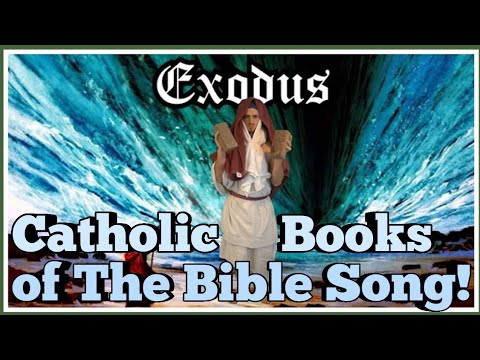 Catholic Books of The Bible Song Video! (All 73 Books)