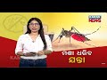 Special Report Pune Startup S Eco Friendly Device Promises To Help Eliminate Mosquito Menace