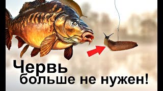 В каком ряду таблицы допущена ошибка клюет заметит