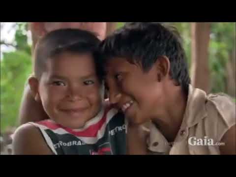 Water has Memory life