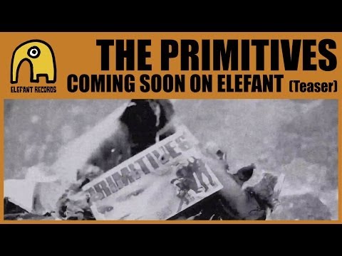 THE PRIMITIVES - Coming Soon on Elefant Records [Teaser]