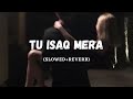 Tu Isaq Mera Slowed Reverb Rigs