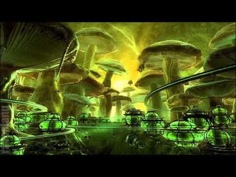 Forest YUDHISTHIRA Forestdelic Records Series Vol 17 19 03 2016 - Psychedelic.com.br