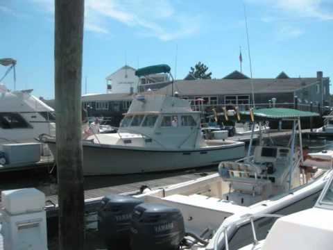 falling slowly scenes of Gloucester Massachusetts