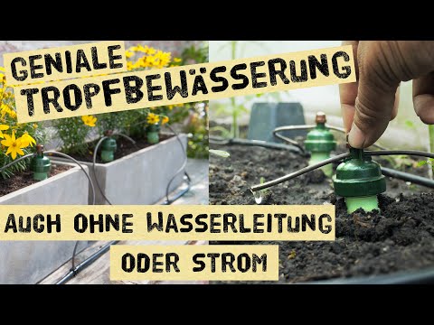 Automatic garden irrigation without fresh water connection and electricity - save water in the ve...