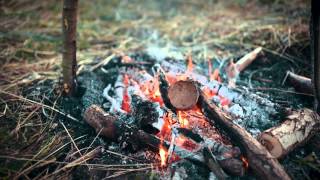 preview picture of video 'Great family hike to the river Oka and Todenka. July 2014'