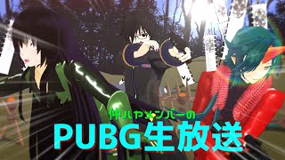 【ゲリラ配信】仲ハヤメンバーによるPUBGライブ
